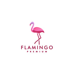 pink flamingo logo design template vector illustration