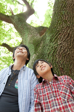 木を見上げる男の子と父親