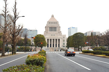 Fototapeta na wymiar 東京都・冬空の国会議事堂