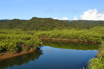鹿児島・種子島マングローブパーク
