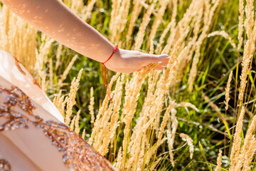 Hand through grass