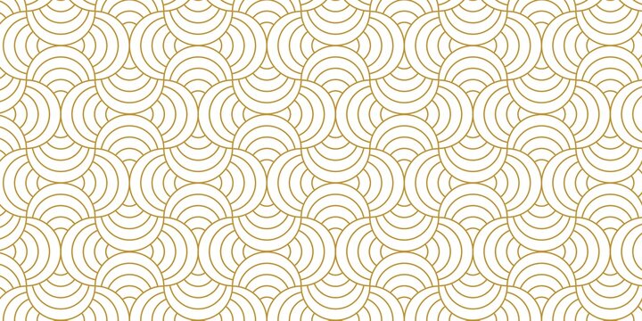 Pattern geometric line circle abstract seamless orange line on white background summer vector design