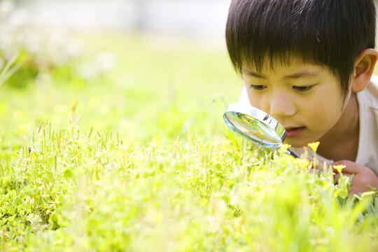 虫眼鏡で花を見ている男の子