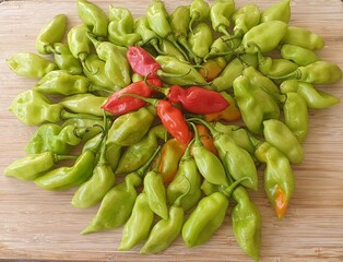 Green, red and yellow vegetarian peppers.