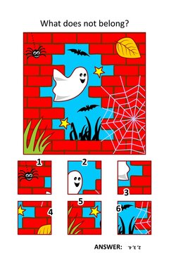 Visual puzzle with picture fragments. Halloween ghost in tne night, red brick wall ruin, spider, bats. What does not belong?
