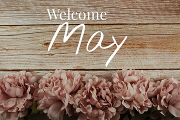 Welcome May typography text with pink flowers bouquet on wooden background