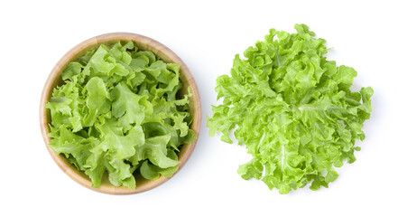 lettuce leaf isolated on white background
