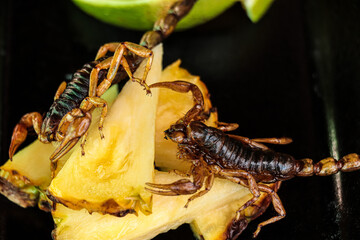comida mexicana