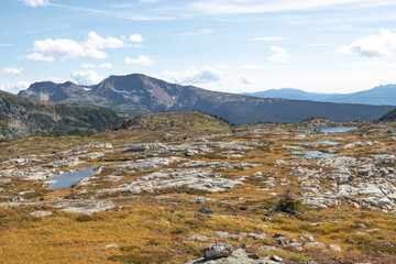 Fototapeta na wymiar Water ponds at the plateau of the Trophy Mountain hike in Wells Gray Provicial Park, BC, Canada,near clearwater. Rocky terrain and alpine meadow