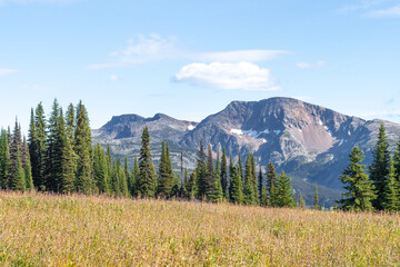 Trophy Mountain hike in the meadows of Wells Gray Provincial Park near Clearwater, BC. Beautiful alpine meadows in the summer in the mountains