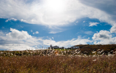 Fototapeta premium Lighthouse. Busse lighthouse. Primorsky Krai. 