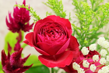 ローズ　フレグランスレッド