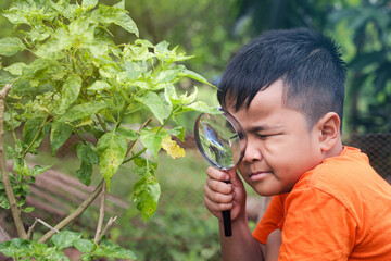 Boy exploring