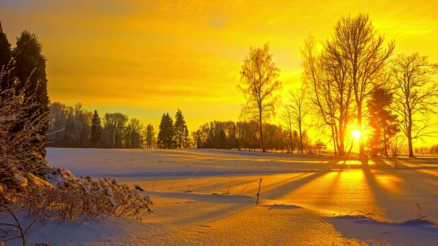 wonderful color change in the sky on sunset in the frozen snowy forest. winter landscape, timelapse