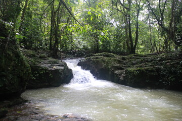 waterfall in the woods