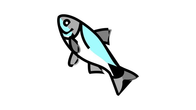 bighead carp animated color icon. bighead carp sign. isolated on white background