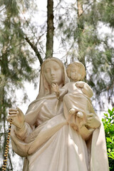 Obraz na płótnie Canvas Statue of Our lady and child Jesus catholic church with natural background. at thailand