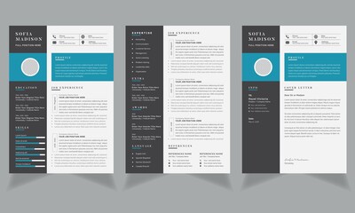 Resume Layout with Black Sidebar, Professional Resume Page