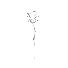 Rose flower silhouette line drawing on white background, vector illustration	