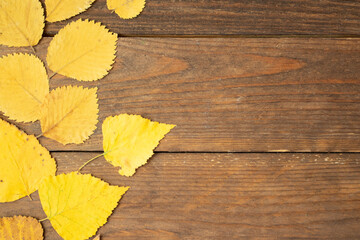 Autumn Flat lay composition with copy space on wooden background. Autumn leaves on a wooden background.