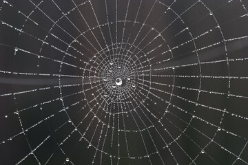 the most perfect thing in the world. created by nature