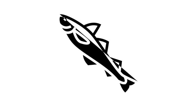 alaska pollock animated line icon. alaska pollock sign. isolated on white background