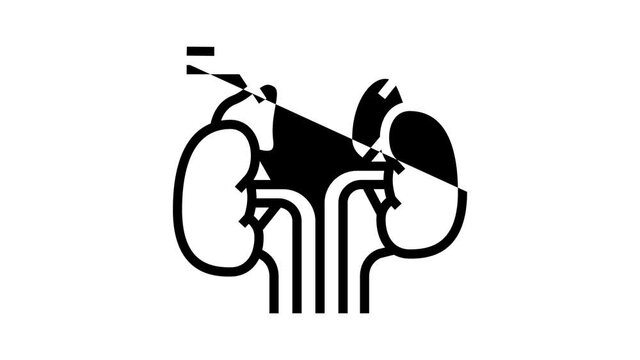 adrenals endocrinology animated line icon. adrenals endocrinology sign. isolated on white background