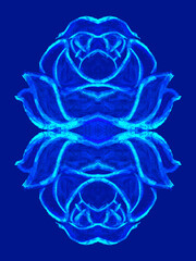 abstract image lotos. hand made drawing. mixed technique