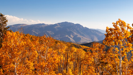 Bald mountain peak from Nebo loop surrounded with fall foliage in Utah