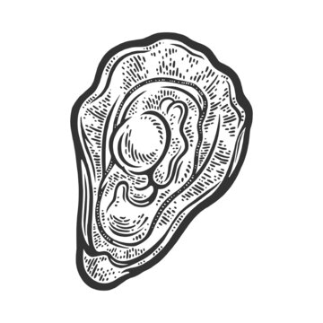 recommend clip art: oyster sketch engraving vector illustration. T-shirt apparel print design. Scratch board imitation. Black and white hand drawn image.