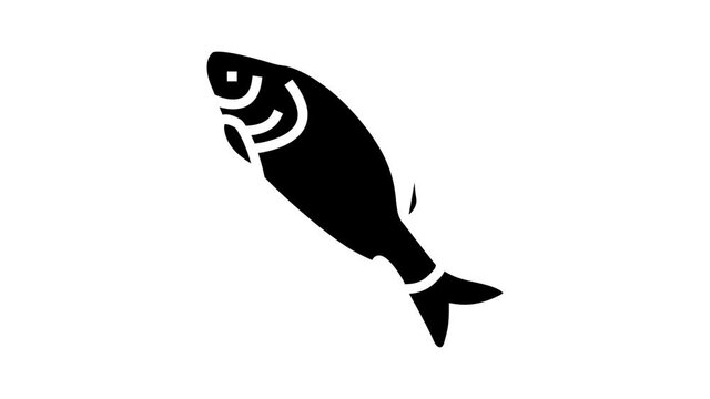 catla catla fish animated glyph icon. catla catla fish sign. isolated on white background