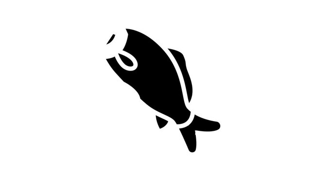 common carp animated glyph icon. common carp sign. isolated on white background