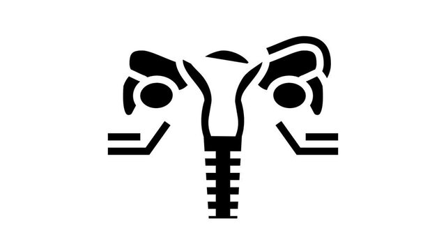 ovaries endocrinology animated glyph icon. ovaries endocrinology sign. isolated on white background