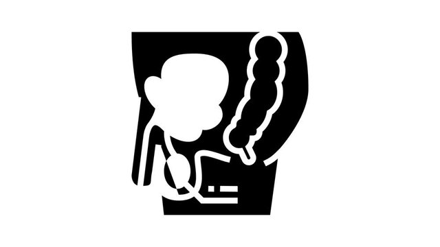 testes endocrinology animated glyph icon. testes endocrinology sign. isolated on white background