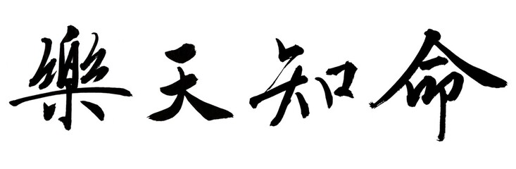 書家による筆文字　横書き楽天知命