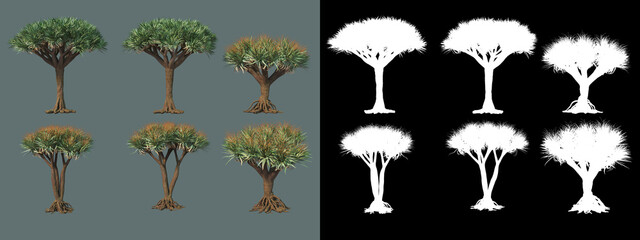 A wide variety of trees and shrubs
