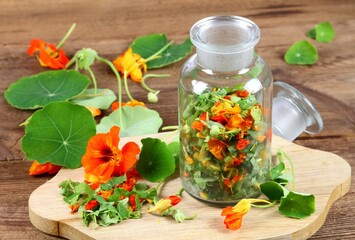 Making tincture from Tropaeolum majus, also called garden nasturtium or Indian cress. The whole plant is chopped up and covered in alcohol. Tincture is used for medicinal use. - obrazy, fototapety, plakaty
