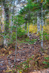 Obraz premium Fog in the mountains. Mount Falaza. Tourism.