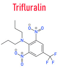 Trifluralin herbicide molecule. Skeletal formula.