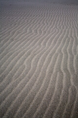 Obraz premium sand dunes in the desert