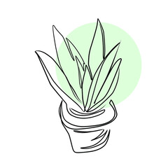 Vector illustration of homeplant.  Line art