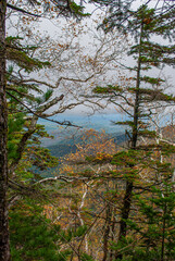 Obraz premium Fog in the mountains. Mount Falaza. Tourism.