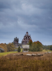 flock of sheep before  Church of the Transfiguration of the Lord in the museum of the Kizhi reserve is part of the temple complex of the Kizhi churchyard. Karelia, Russia.