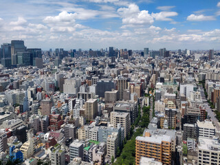 Panorama view of Tokyo with skyscrapers in Nihonbashi and Akihabara