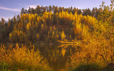 The bright yellowed forest is reflected in the surface of the lake, illuminated by sunlight.