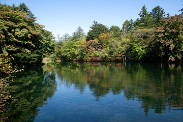 Fototapeta na wymiar 軽井沢 雲場池の紅葉｜爽やかな秋空と深みを増す紅葉が水面に写り、清々しさと静けさを感じる初秋の景観です