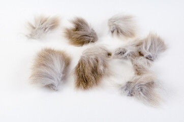 Tangled lumps of cat hair on a white background. Gray Matted hai