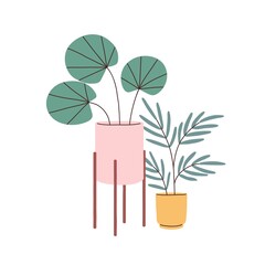 Potted house plants for home interior decoration. Green foliage houseplants in planters for room and office decor in Scandinavian style. Flat vector illustration isolated on white background