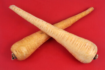 Panais crus en gros plan sur fond rouge