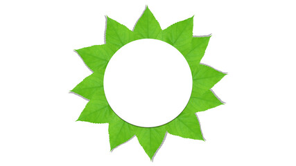 Circle leaf frame isolated on white background for design or other illustration.